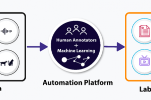 Data Annotation & Labelling